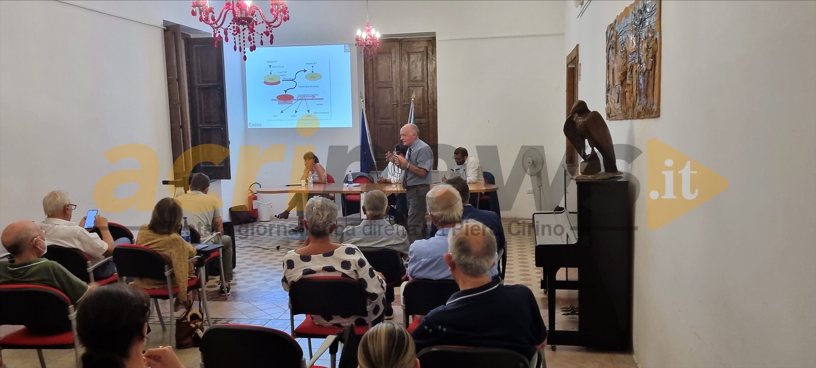 San Demetrio Corone Convegno Su Alimentazione E Salute AcriNews It